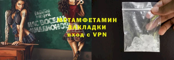 прущие грибы Покровск