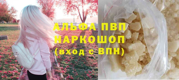 прущие грибы Покровск